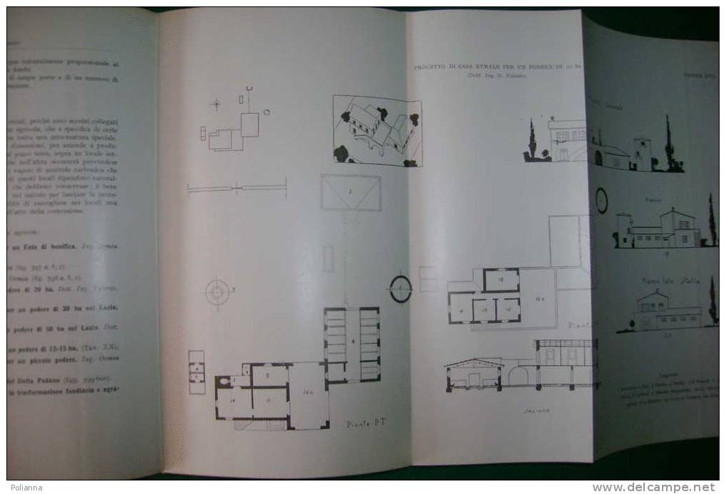 PDW/22 Ormea TEORIA-PRATICA COSTRUZIONI Hoepli 1964/Sabaudia/Municipio Pontinia/Poste Di Latinia/Albergo Ad Agno - Arts, Architecture