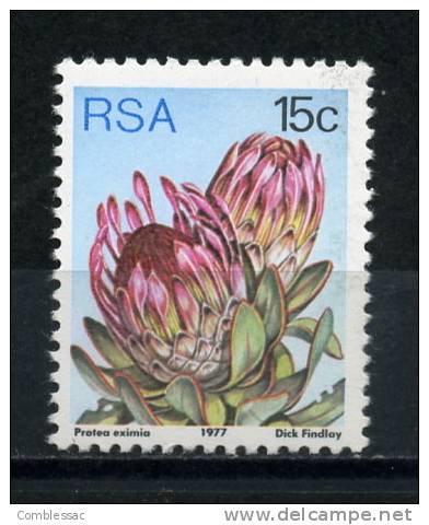 SOUTH  AFRICA    1977    15c   P  Eximia    MNH - Other & Unclassified