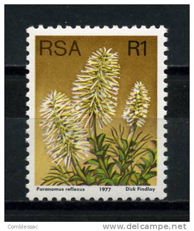 SOUTH  AFRICA    1977    R1      Paranomus    MNH - Other & Unclassified