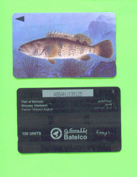 BAHRAIN  - Magnetic Phonecard As Scan - Bahreïn