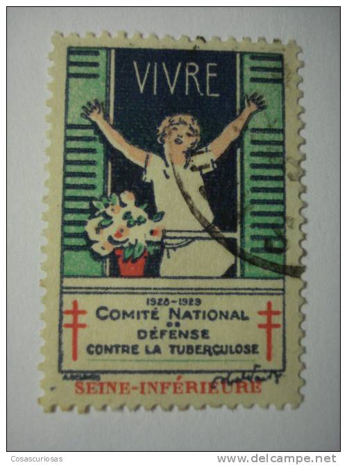 141 FRANCE FRANCIA TUBERCULOSIS TUBERCULOSE REKLAMEMARKE  WERBEMARKE POSTERSTAMP ERINNOPHILIE  REKLAME OLD - Fantasie Vignetten