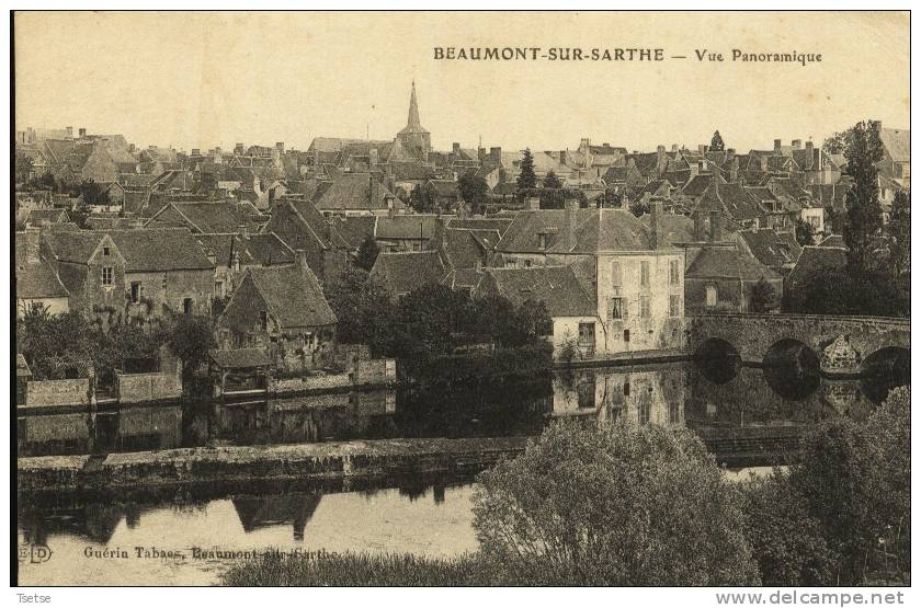 Beaumont-sur-Sarthe  - Vue Panoramique -1914 - Beaumont Sur Sarthe