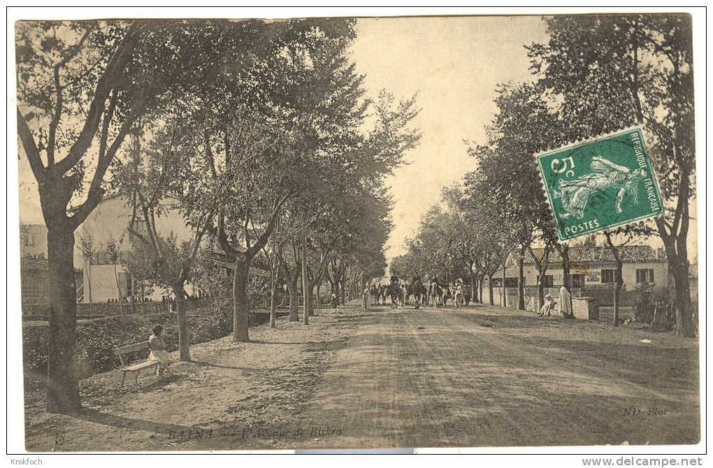 Algérie - Batna - Avenue De Biskra 1907 - Batna