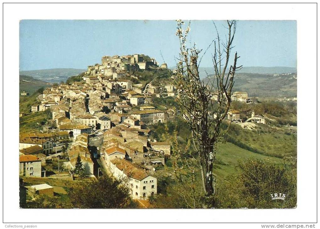 Cp, 81, Cordes-en-Albigeois, Vue Générale - Cordes