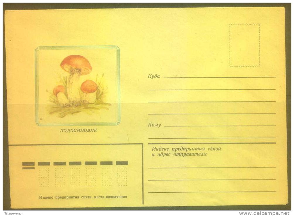 RUSSIA USSR Stationery USSR Be Zenklo 0002 Mushrooms - Other & Unclassified