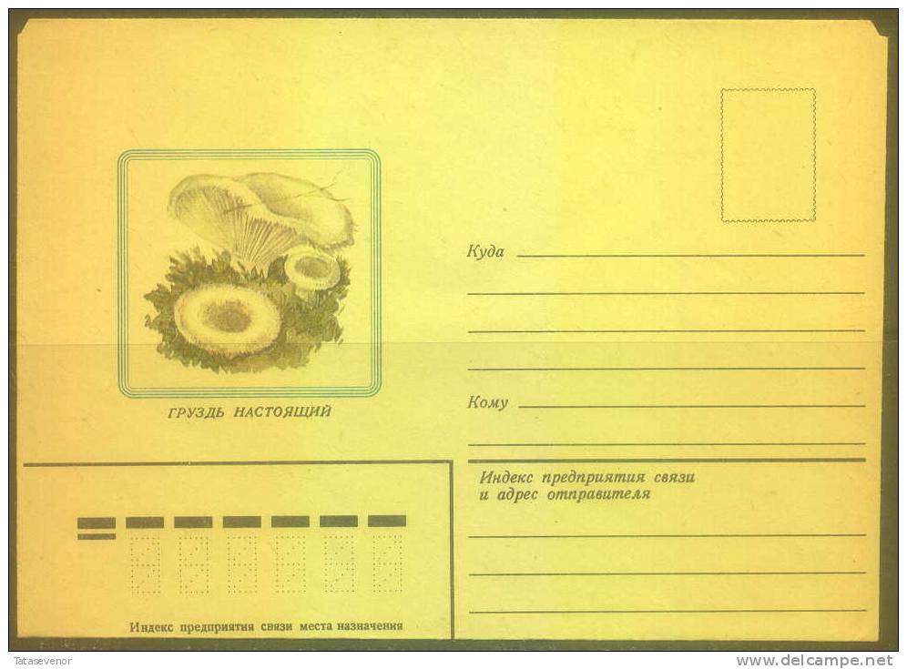 RUSSIA USSR Stationery USSR Be Zenklo 0005 Mushrooms - Autres & Non Classés