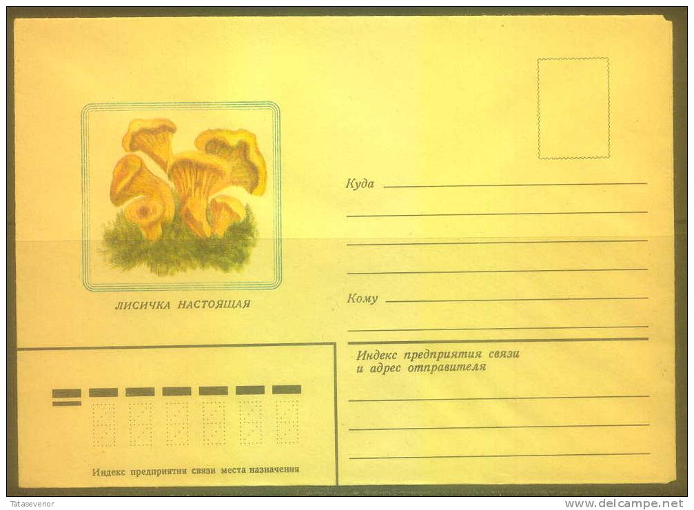 RUSSIA USSR Stationery USSR Be Zenklo 0006 Mushrooms - Other & Unclassified