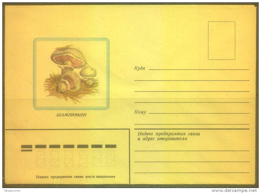 RUSSIA USSR Stationery USSR Be Zenklo 0007 Mushrooms - Altri & Non Classificati