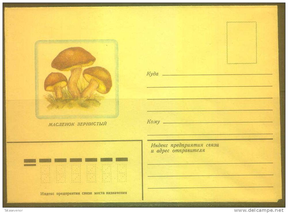 RUSSIA USSR Stationery USSR Be Zenklo 0008 Mushrooms - Autres & Non Classés