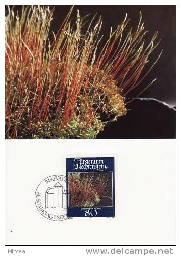 1066 -  Lichtenstein 1981 - Carte Maximum - Plantas Medicinales