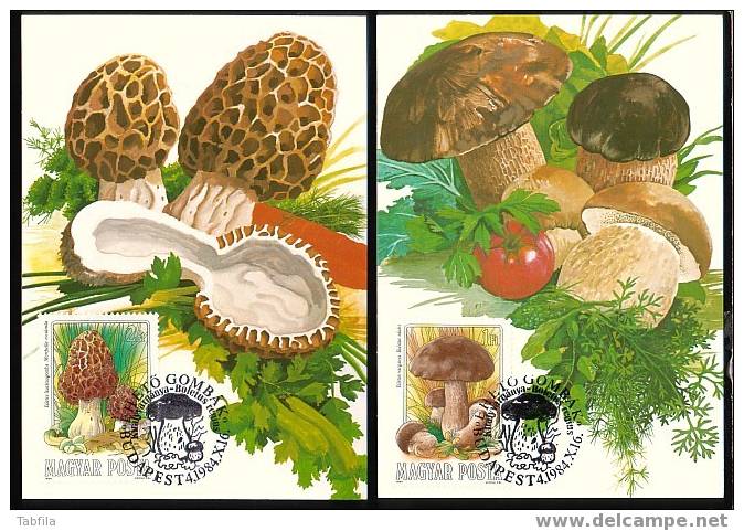 HONGRIE - 1984 - Champignons - 7 Cartes-maximum MC - Cartoline Maximum