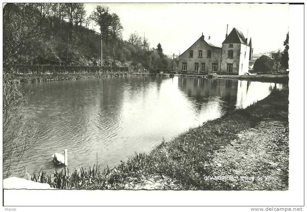 Grandrieu Etang Du Vivier - Sivry-Rance