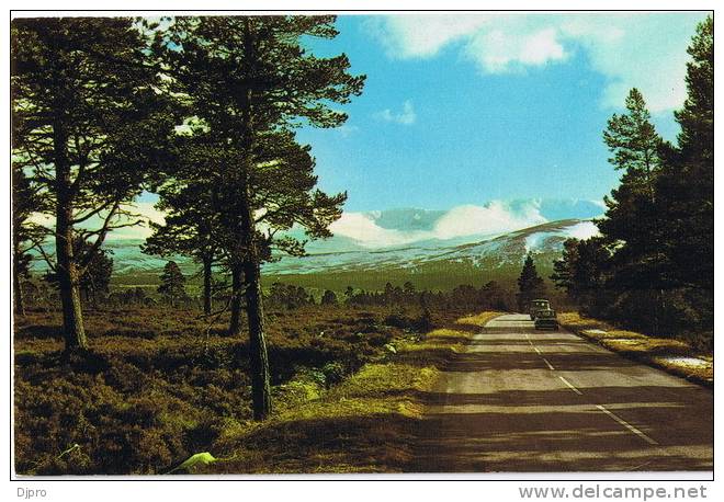 The Road To The Ski Slopes  Cairngorms - Inverness-shire