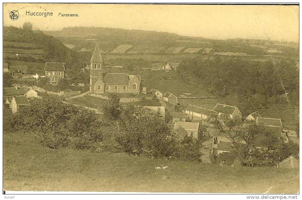 CP De HUCCORGNE " Panorama " ( édition NELS ) - Wanze