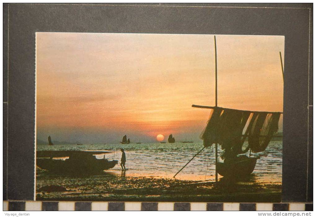 HONG KONG   FISHING SAIL IN SETTING SUN - Chine (Hong Kong)