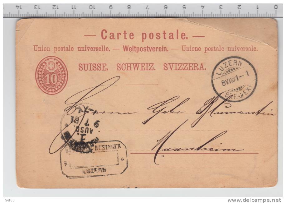 Entier Postal Suisse / Ganzsache Schweiz / Postal Stationery Switzerland - Luzern (1881) - Entiers Postaux