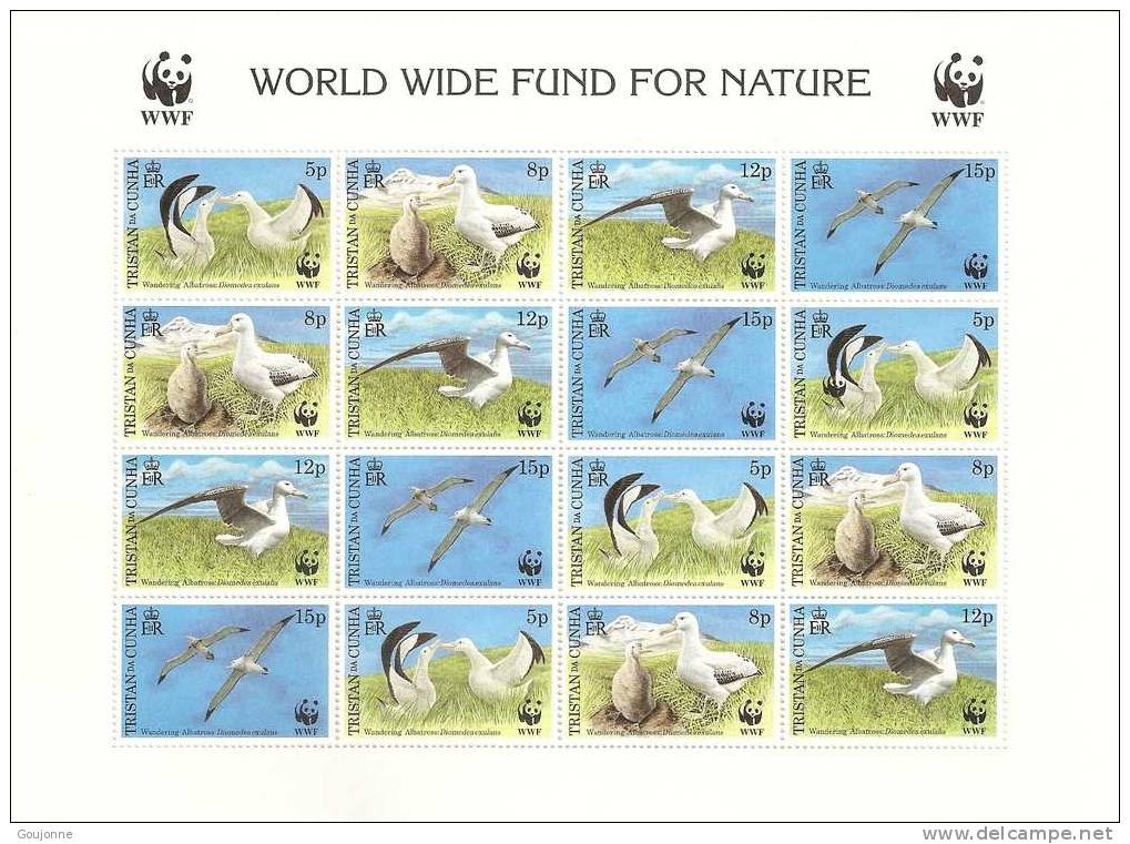 TRISTAN DA CUNHA   Faune Oiseaux Albatros  623 626** BF - Albatros & Stormvogels