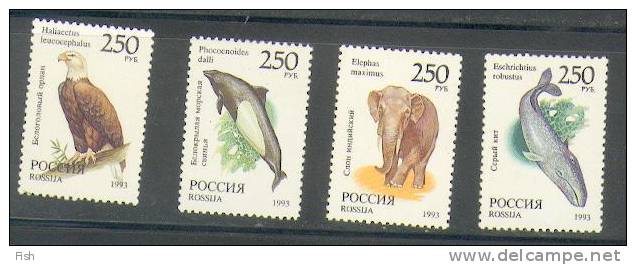 Russia 6040 ** - Elefanten