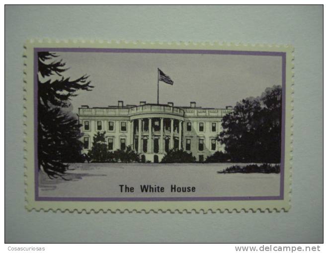 263 UNITED STATES USA WHITE HOUSE  CINDERELLA VIÑETA VIGNETTE REKLAMEMARKE  WERBEMARKE POSTERSTAMP ERINNOPHILIE  REKLAME - Vignettes De Fantaisie