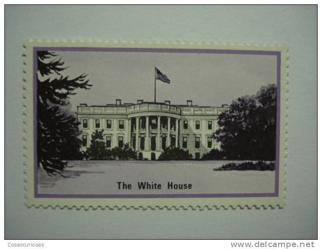 263 UNITED STATES USA WHITE HOUSE  CINDERELLA VIÑETA VIGNETTE REKLAMEMARKE  WERBEMARKE POSTERSTAMP ERINNOPHILIE  REKLAME - Etichette Di Fantasia