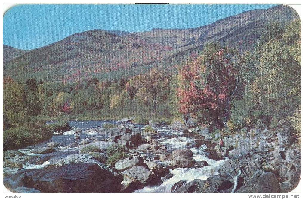 USA – United States – Ausable River Near Wilmington In The Adirondacks, New York 1950s Unused Postcard [P3798] - Adirondack