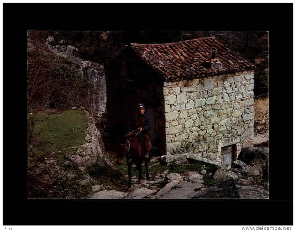 20 - Charmes Et Couleurs De La Corse - Facteur à Cheval - Autres & Non Classés