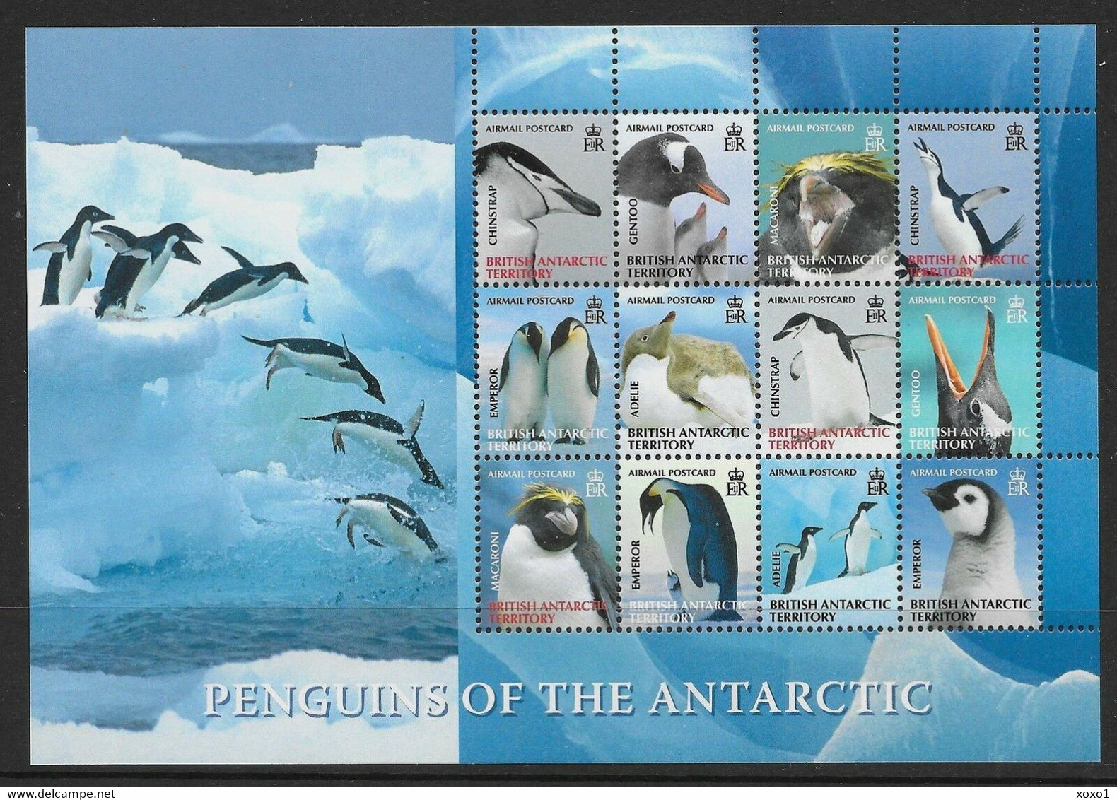 British Antarctic Territory (BAT) 2008 Mi.No. 484 - 495 Marine Life Birds Pinguins III  MNH** 50.00 € - Penguins