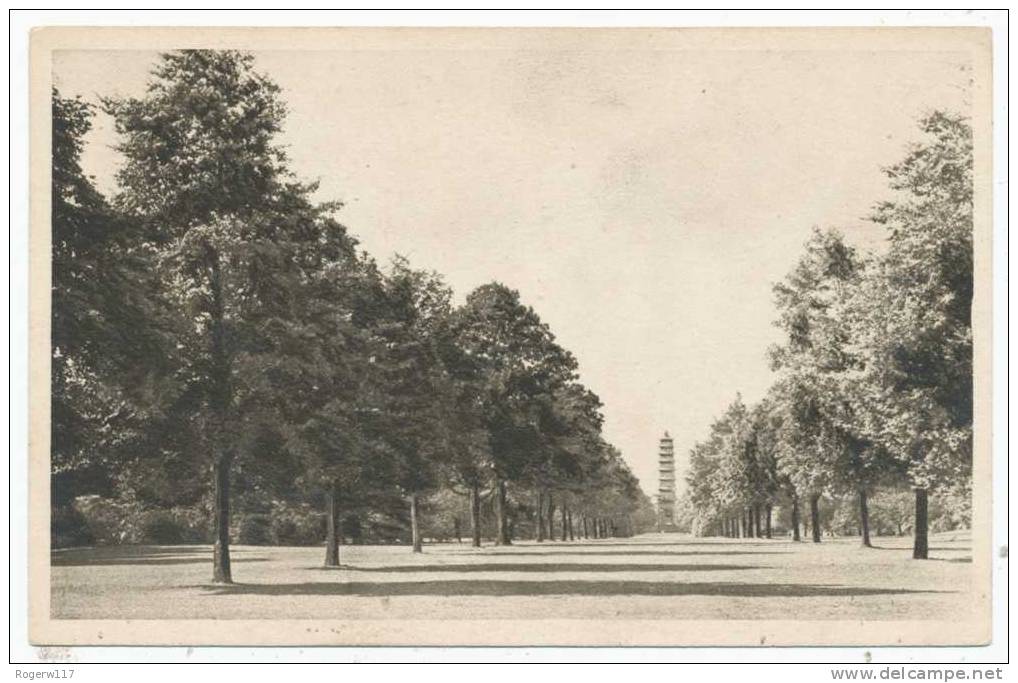 Pagoda Vista, From The Palm House [Kew Gardens] - Surrey