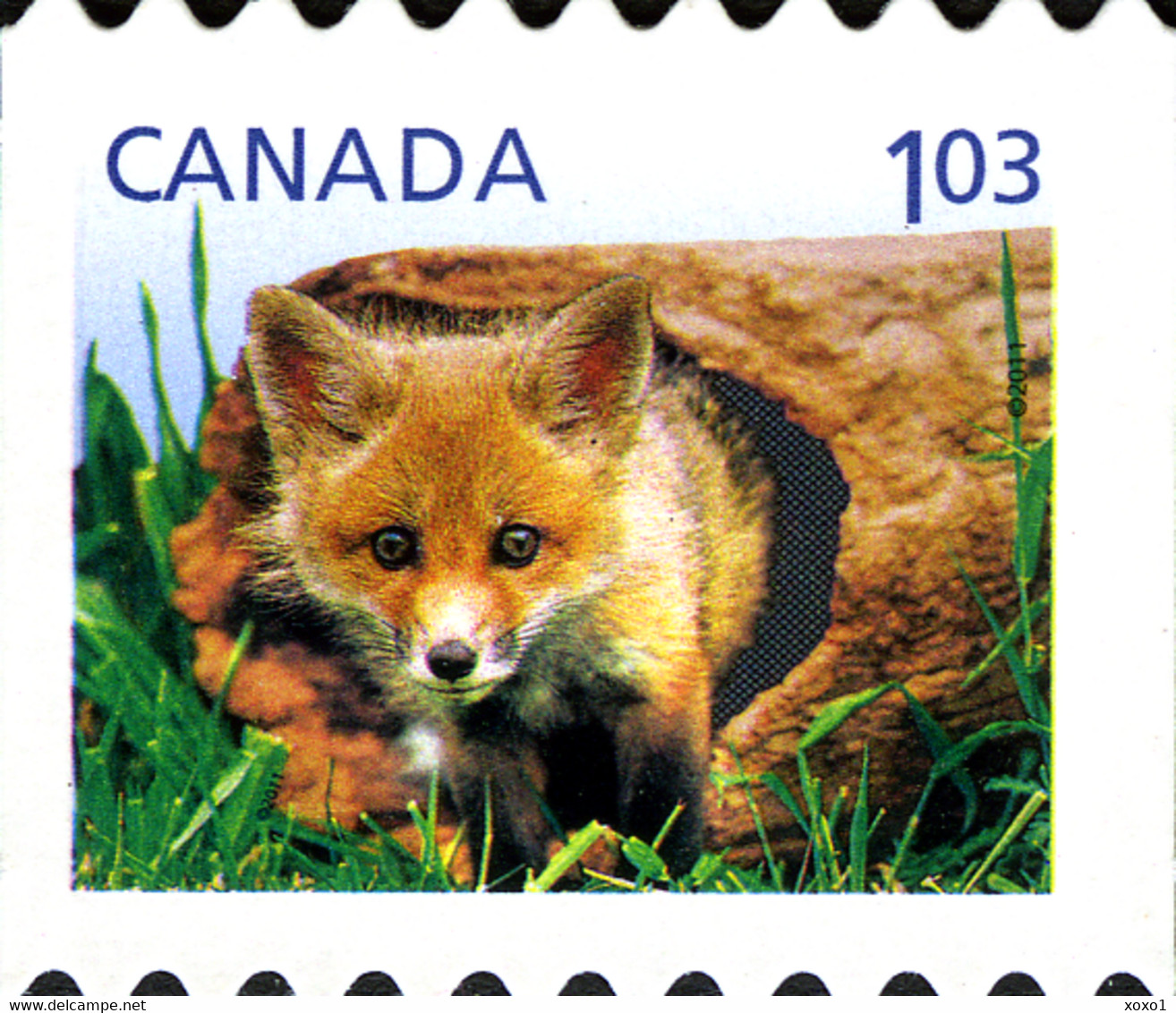 Canada 2011 MiNr. 2682 - 2685  Kanada Baby Wildlife Animals Birds - I 4v MNH** 9,50 € - Ours