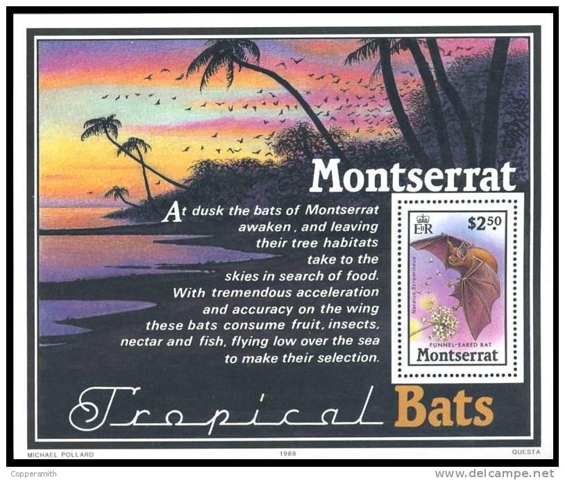(032) Montserrat  Animals / Animaux / Bats / Fledermäuse / Chauves-souris ** / Mnh  Michel BL 47 - Montserrat