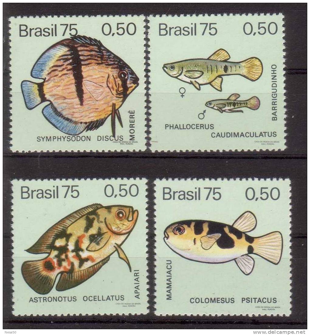 Brazilie (R) Postfris 1975 Mi Nr 1483-1486 Fish Zoetwatervissen - Ongebruikt