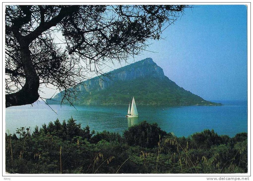 Italia Olbia Cartolina Animata Viaggiata Golfo Aranci Isola Figarolo - Olbia