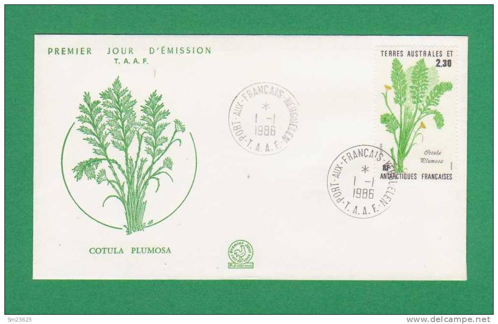 Frankreich / Kolonien / TAAF, Mi.Nr. 214 , Premier Jour D´Èmission , Cotula Plumosa  Von 1986 - - FDC