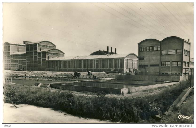 Tartas - Usine De La Société Landaise De Cellulose  -1960 ( Voir Verso ) - Tartas