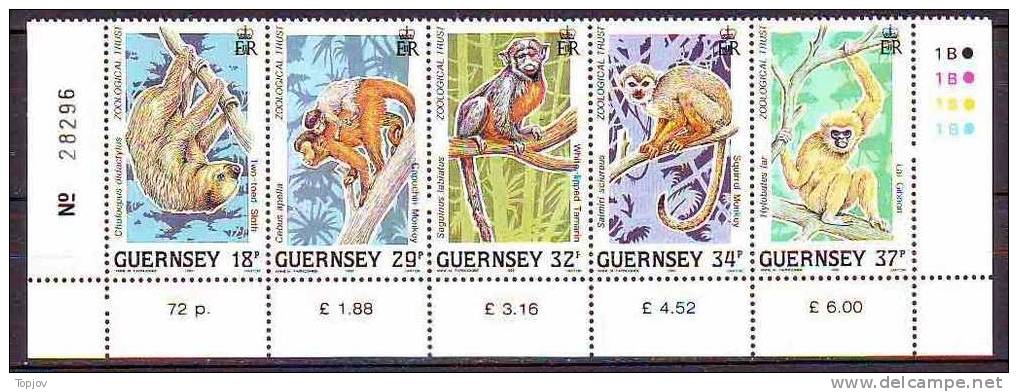 GUERNSEY 1989 -  WWF, WILDLIFE CONSERVATION, MONKEYS, AFEN -  MNH** - Affen