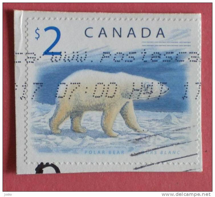 POLAR BEAR  ( Canada - Used Stamp On Paper ) Ours Blanc Oso Polar Polarbär Orso Bianco Urso Polar Ijsbeer Polaire - Ours