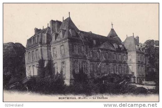 Montmirail -  Le Château  : Achat Immédiat - Montmirail