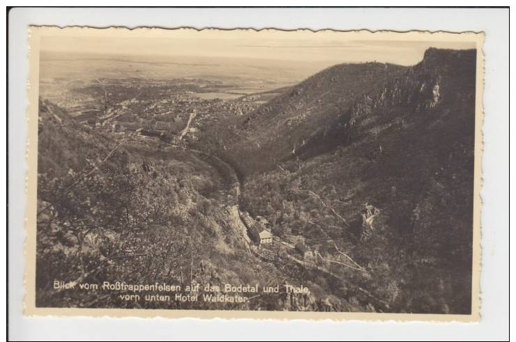 Bodetal , Thale Und Hotel Waldkater Vom Rosstrappenfelsen Gesehen - Thale