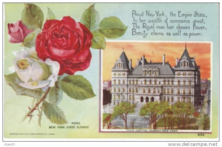 New York State Capitol Building , State Flower Rose, Albany NY On C1910s Vintage  Postcard - Albany