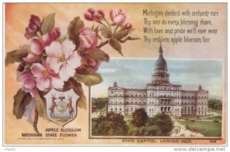 Michigan State Capitol Building , State Flower Apple Blossom, Lansing MI On C1910s Vintage  Postcard - Lansing