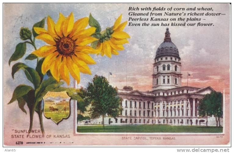 Kansas State Capitol Building , State Flower Sunflower, Topeka KS On C1910s Vintage  Postcard - Topeka