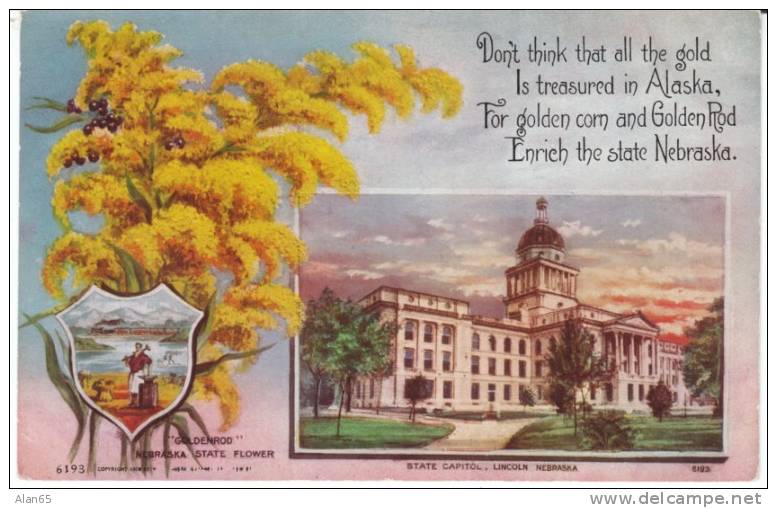 Nebraska State Capitol Building , State Flower Goldenrod, Lincoln NE On C1910s Vintage  Postcard - Other & Unclassified