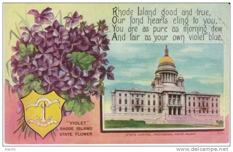 Rhode Island State Capitol Building , State Flower Violet, Providence RI On C1910s Vintage  Postcard - Providence