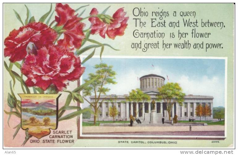 Ohio State Capitol Building , State Flower Scarlet Carnation, Columbus OH On C1910s Vintage  Postcard - Columbus