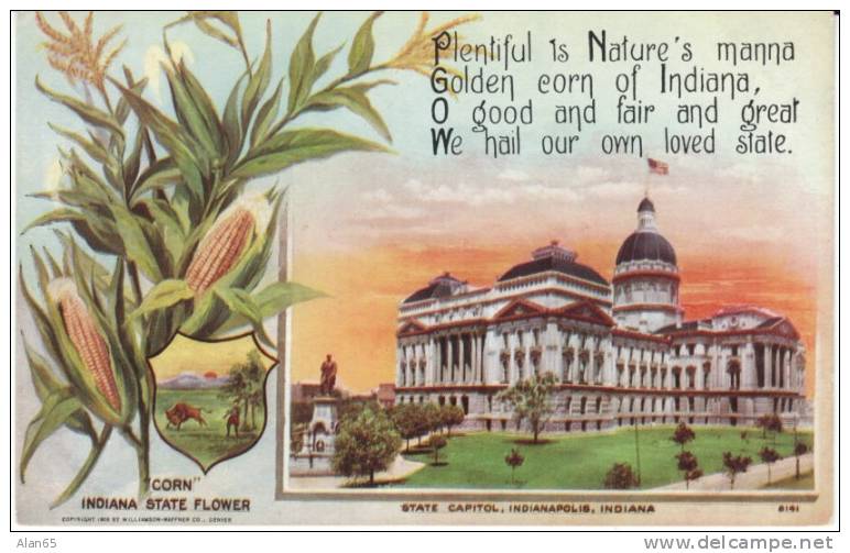 Indiana State Capitol Building , State Flower Corn, Indianapolis IN On C1910s Vintage  Postcard - Indianapolis