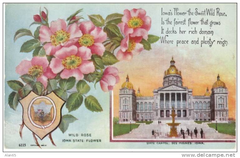 Iowa State Capitol Building , State Flower Wild Rose, Des Moines IA On C1910s Vintage  Postcard - Des Moines