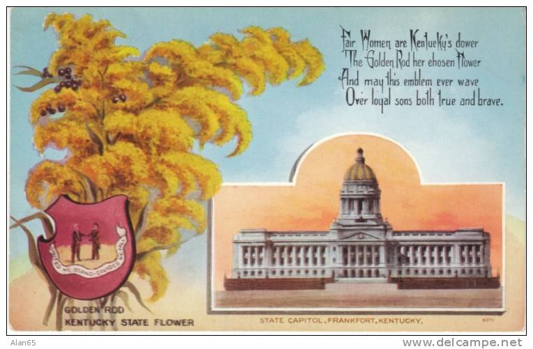 Kentucky State Capitol Building , State Flower Golden Rod, Frankfort KY On C1910s Vintage  Postcard - Frankfort