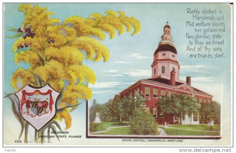 Maryland State Capitol Building , State Flower Golden Rod, Annapolis MD On C1910s Vintage  Postcard - Annapolis