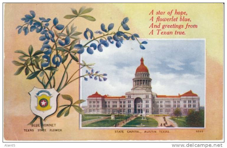 Texas State Capitol Building , State Flower Blue Bonnet, Austin TX On C1910s Vintage  Postcard - Austin