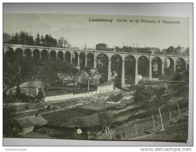 1090 VALLEE DE LA PETRUSSE   LUXEMBOURG  POSTCARD    AÑOS / YEARS / ANNI  1920 OTHERS IN MY STORE - Esch-Sauer